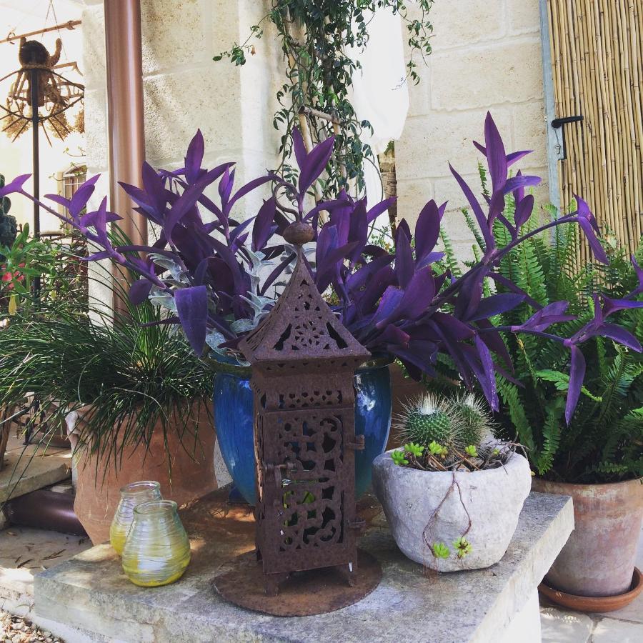 مبيت وإفطار أوستوني Casa Della Scrittrice المظهر الخارجي الصورة