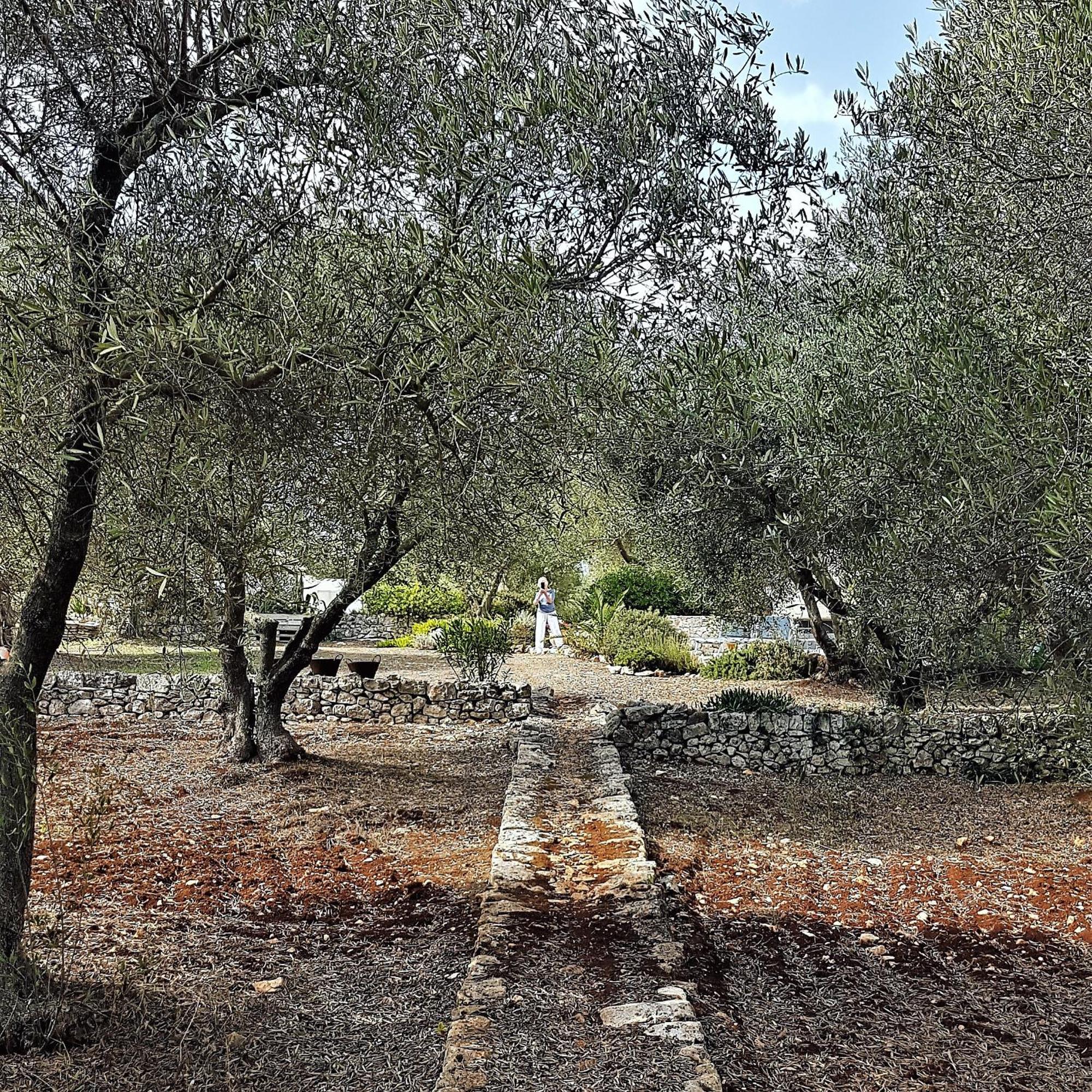 مبيت وإفطار أوستوني Casa Della Scrittrice المظهر الخارجي الصورة