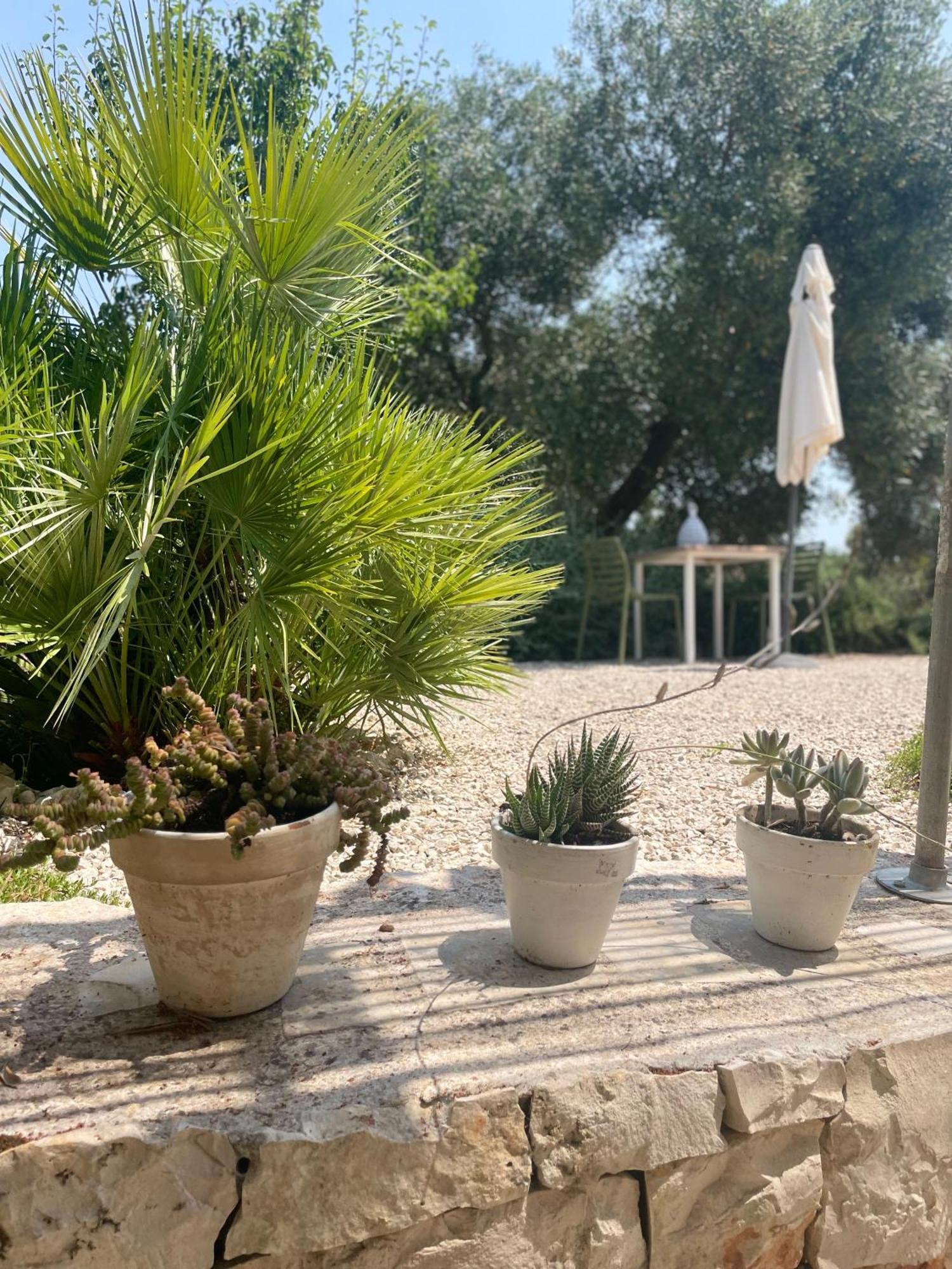 مبيت وإفطار أوستوني Casa Della Scrittrice الغرفة الصورة
