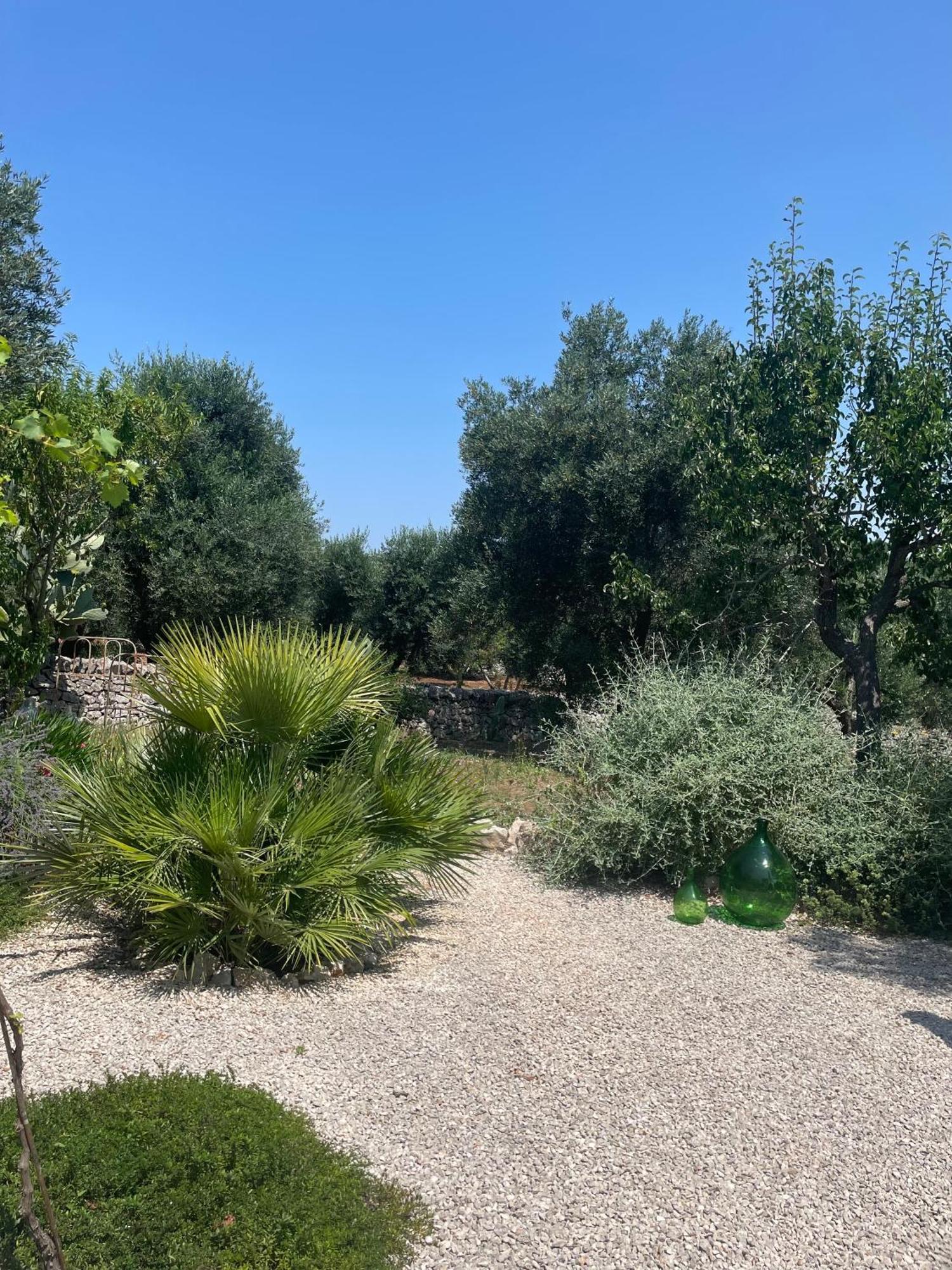 مبيت وإفطار أوستوني Casa Della Scrittrice الغرفة الصورة